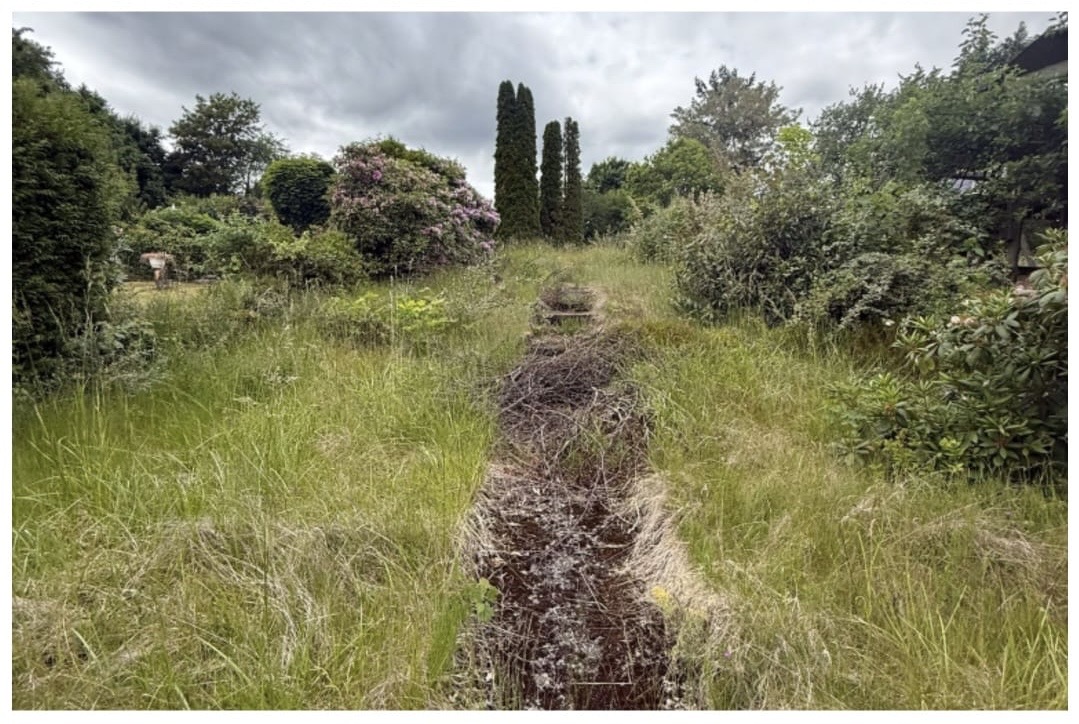 Garten vorher - verwildert